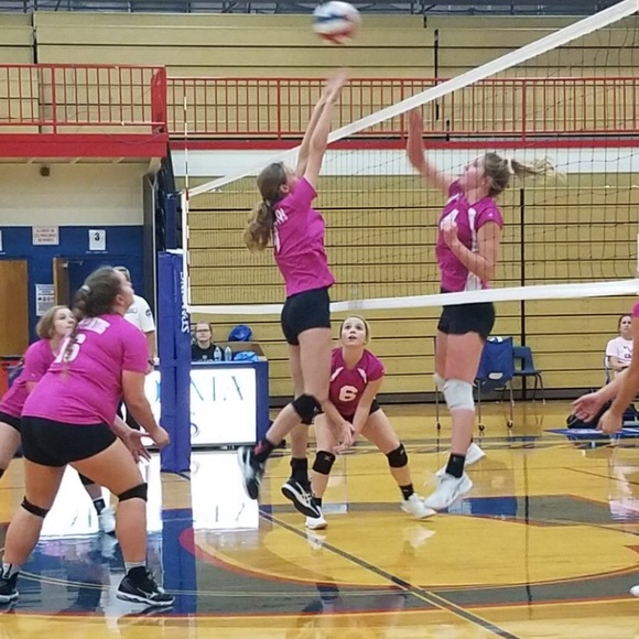 Meet your Posher, Aaliyah - Picture 1 of 1